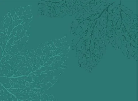 Autumn leaves. Set leaf. Vector tree collection. Vector banner. Modern poster 스톡 일러스트