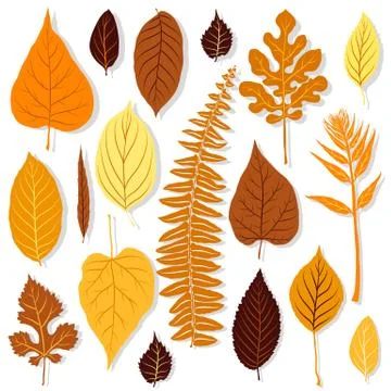Autumn leaves set vector Stock Illustration