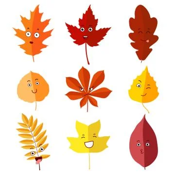 Autumn leaves. Sixth Set. Stock Illustration