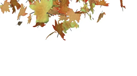 Autumn leaves spiralling to the ground Stock Footage 48595759