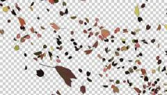 autumn leaves spurt 04