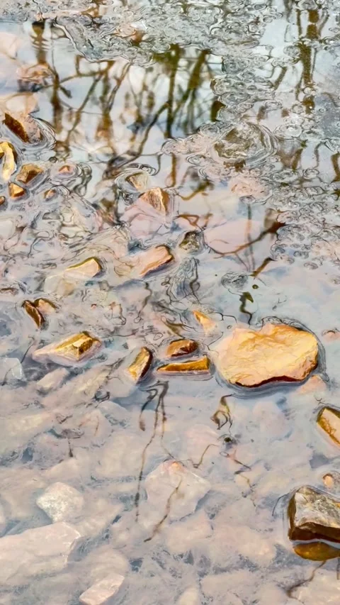 Autumn leaves in stream running through crushed rock Stock Footage 321670626