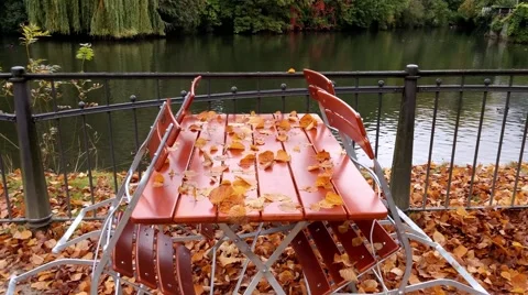 Autumn leaves on the table in Detmold 库存影片 56986337