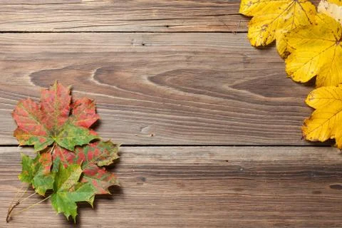Autumn leaves on table Stock Photos