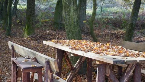 Autumn leaves on the table Stock Photos