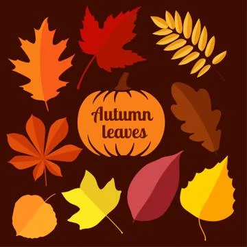 Autumn leaves. third set. Stock Illustration