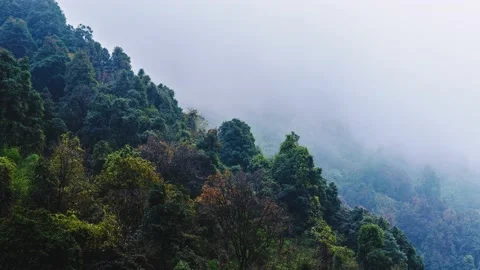 Autumn Leaves Timelapse with Clouds in Dovan, Nepal 2 (Annapurna Trek) Stock Footage 140931683