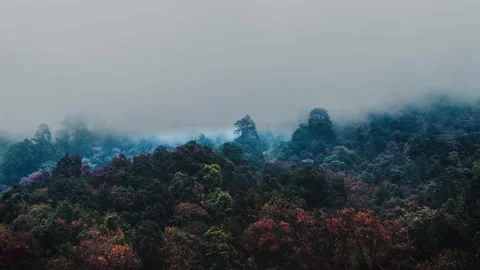 Autumn Leaves Timelapse with Clouds in Dovan, Nepal 1 (Annapurna Trek) Stock Footage 140931735