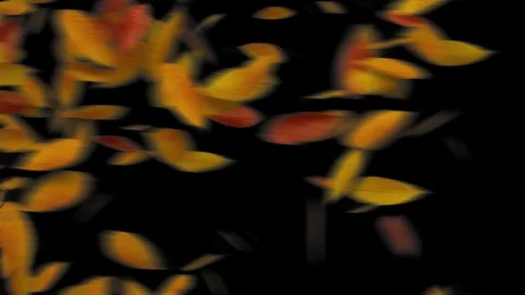 Autumn leaves Transition Stock Footage 100542002