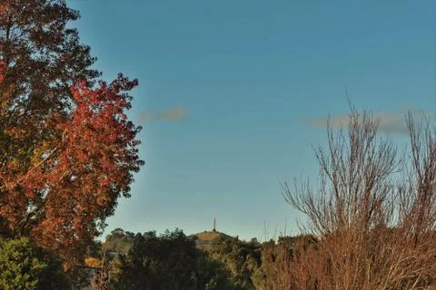 Autumn leaves on tree under cloudy blue sky Stock Photos