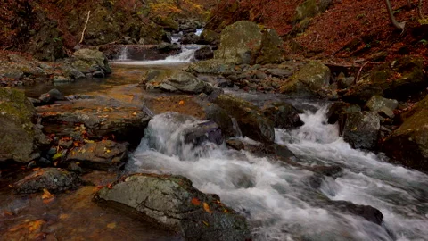 Autumn Leaves Valley Video stock 333364714