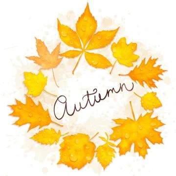 Autumn leaves vector background Stock Illustration