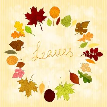 Autumn leaves vector background Stock Illustration