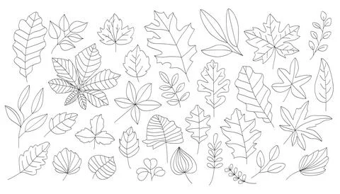 Autumn Leaves Vector Drawing.Vector illustration Stock Illustration