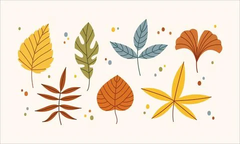 Autumn leaves vector elements set with ginkgo birch and forest foliage isolated Stockillustratie