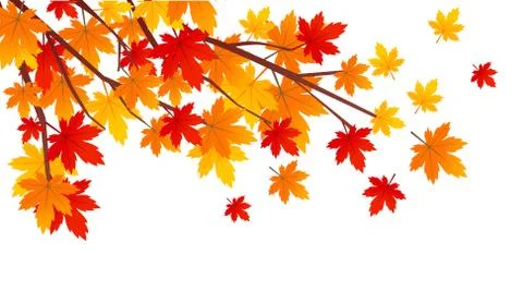 Autumn leaves vector illustration Stock Illustration