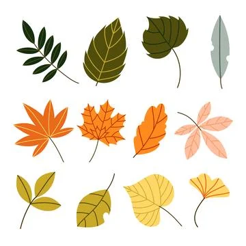 Autumn Leaves Vector Set Flat Geometric Fall Foliage Grid Collection Isolated 스톡 일러스트