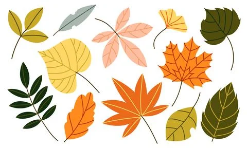 Autumn Leaves Vector Set Flat Geometric Fall Foliage Collection Isolated イラスト素材