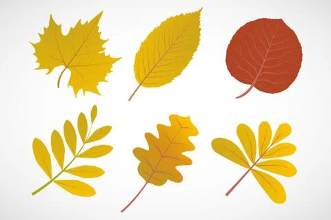 Autumn leaves vector set Stock Illustration