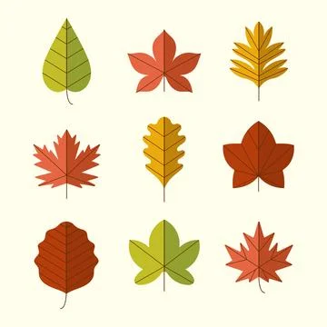 Autumn leaves vector set Stock Illustration