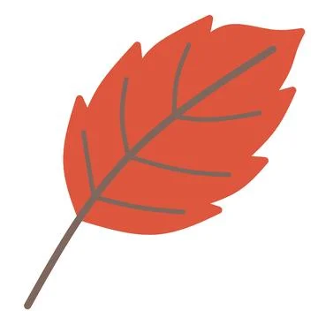 Autumn leaves on white background. Stock Illustration