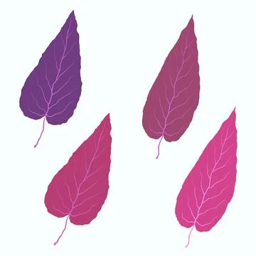Autumn leaves on white background, vector Stock Illustration