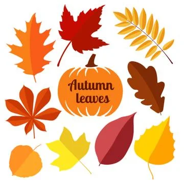 Autumn leaves.first set. Stock Illustration