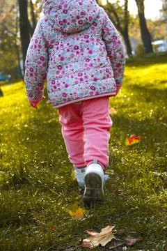 Autumn is leaving Stock Photos