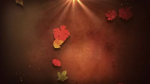 Autumn light Stock Footage 54460947