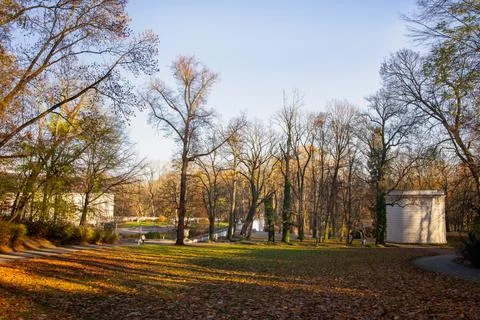 Autumn Light in the Park Stock Photos