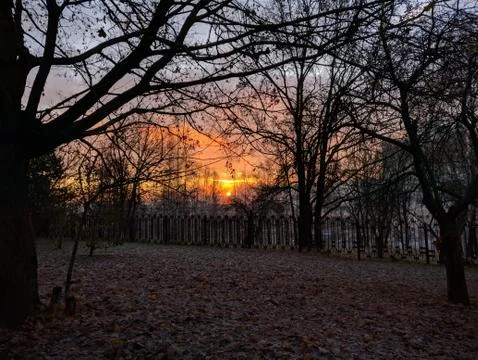 Autumn lights Foto stock