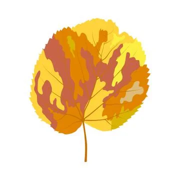 Autumn Linden Leaf Stock Illustration