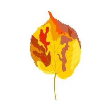 Autumn Linden Leaf Stock Illustration