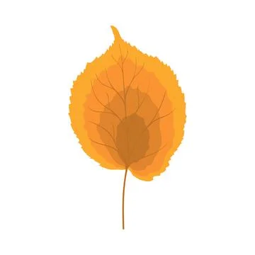 Autumn Linden Leaf Stock Illustration