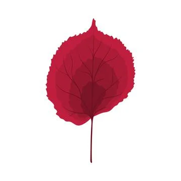 Autumn Linden Leaf Stock Illustration