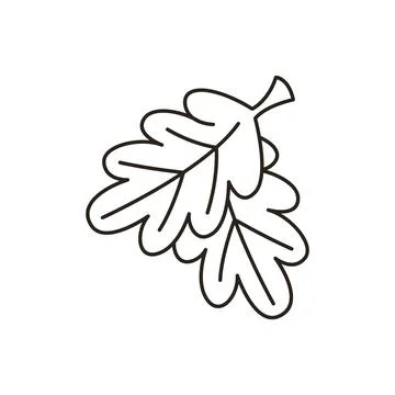 Autumn Line Art Icon - Leaf Stock Illustration