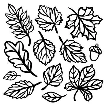 AUTUMN LINE LEAVES Set For Plotter Openwork Leaves Of Plant Stock Illustration