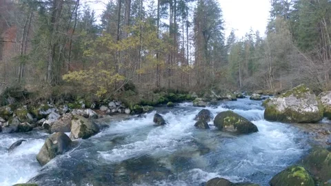 Autumn At The Loferbach Vidéo 167222179