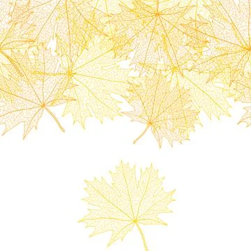 Autumn macro leaf of maple. Vector bacground Stockillustratie
