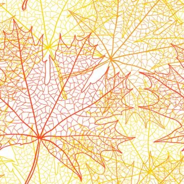 Autumn macro leaf of maple. Vector bacground Stock Illustration