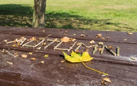 Autumn made of ree branches and fallen leaves. Stock Photos