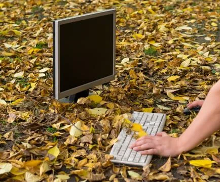 Autumn, a man working at a computer on a fallen yellow foliage in the city Stock Photos