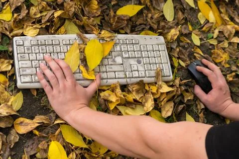 Autumn, a man working at a computer on a fallen yellow foliage in the city Stock Photos