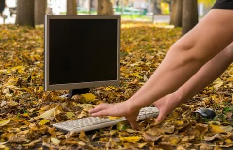 Autumn, a man working at a computer on a fallen yellow foliage in the city Foto stock