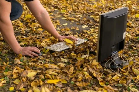 Autumn, a man working at a computer on a fallen yellow foliage on the street Stock Photos