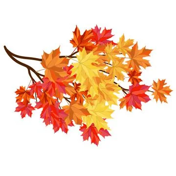 Autumn Maple Frame Stock Illustration