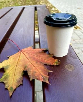 Autumn Maple Leaf and Coffee Cup on Wooden Bench Stock Photos