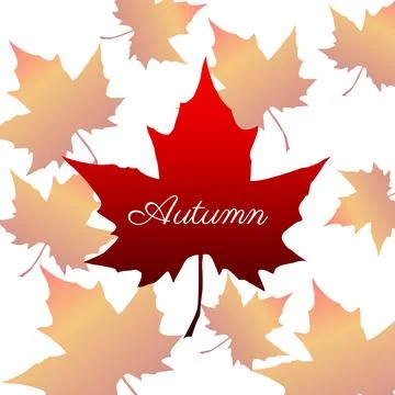 Autumn maple leaf. Autumn maple leaf isolated on a white background. Vector.. Stock Illustration