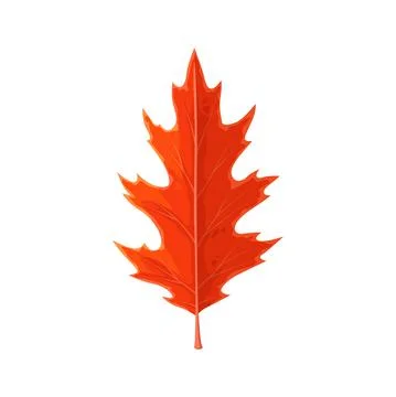 Autumn maple leaf cartoon isolated vector icon Stock Illustration