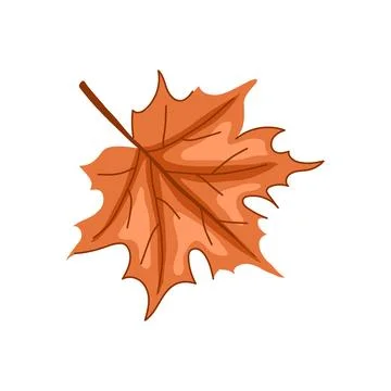 Autumn maple leaf cartoon vector illustration Stock Illustration